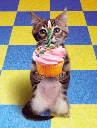 JOYEUX ANNIVERSAIRE MON P'TIT CHAT !!!